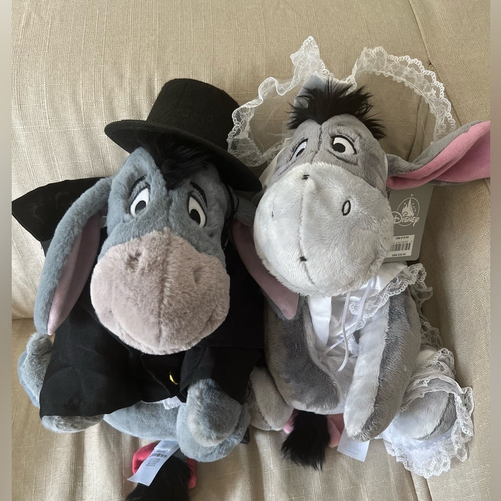 A pair of Eeyore custom in bride and groom